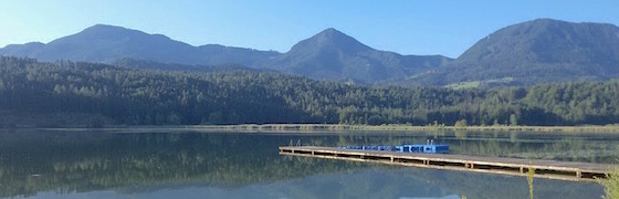 Sommerlicher Badespaß am Gösselsdorfersee