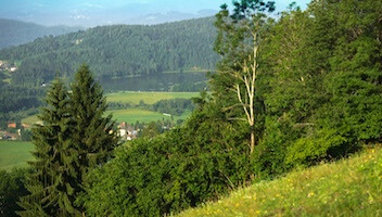 Schwimmen, Baden und Plantschen im Badeurlaub