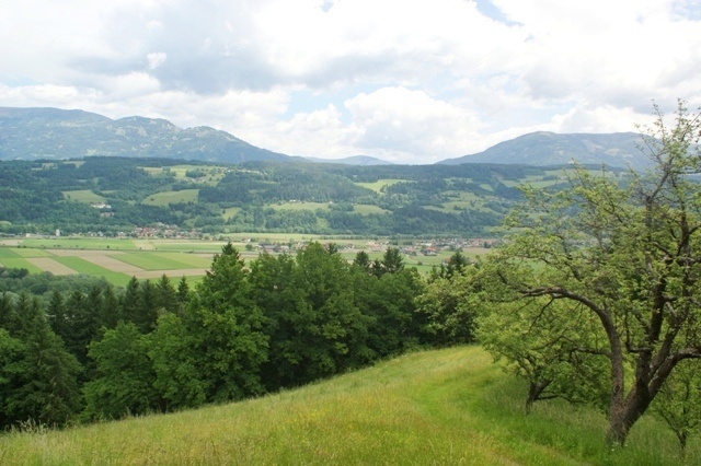 Ferienhaus auf dem Bauernhof- Weitblick PMP00199