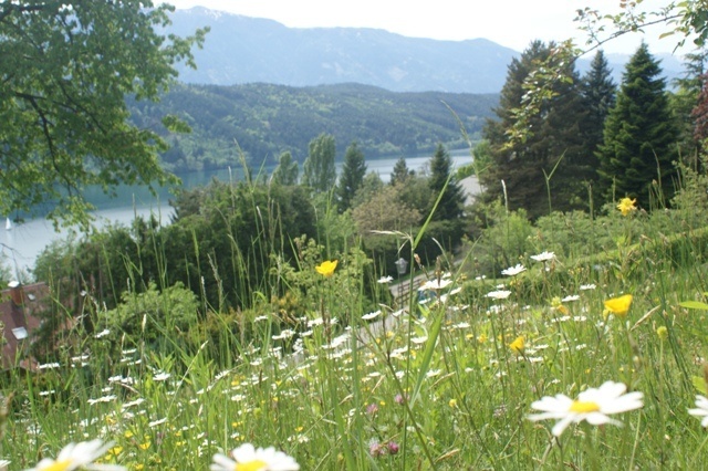 Ferienwohnung Millstätter See-Landschaft PBD00167