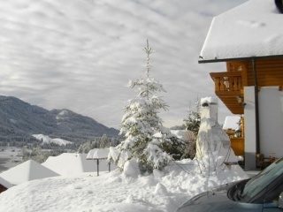 Schwünge im Schnee genießen