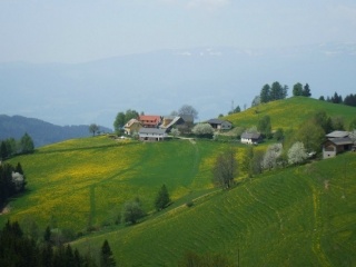 Freizeitreiten in Kärnten