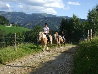 Für Pferd und Reiter